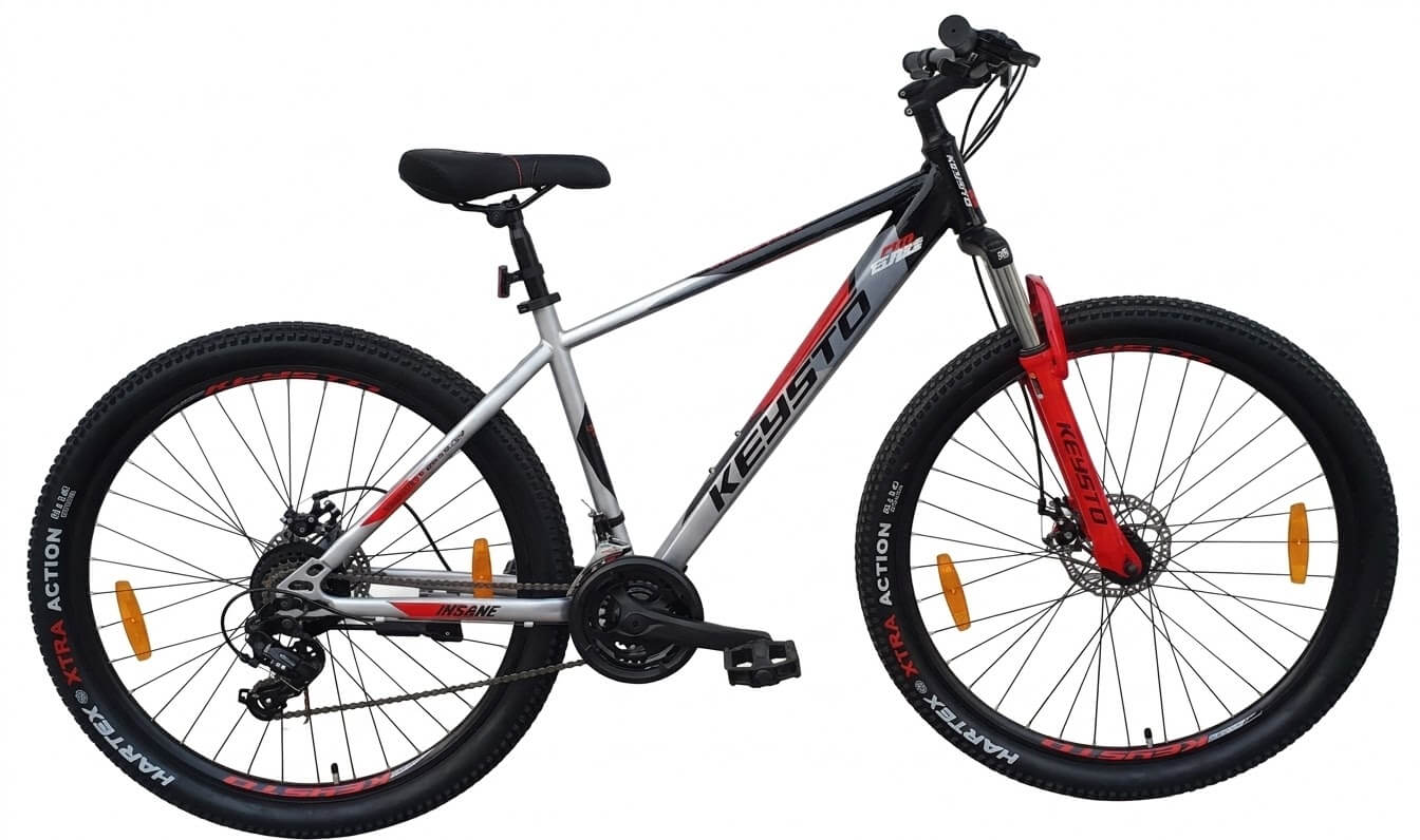 INSANE MS-MTB