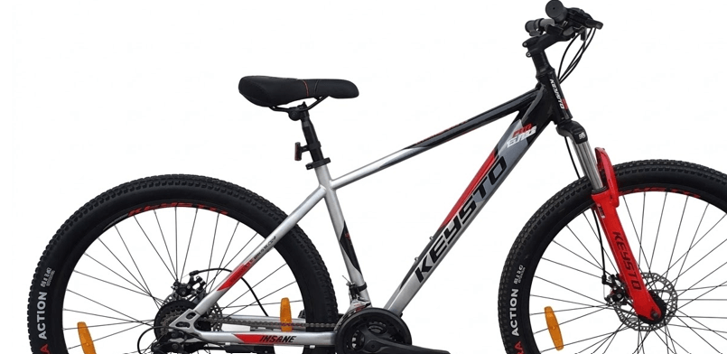 INSANE SS-MTB